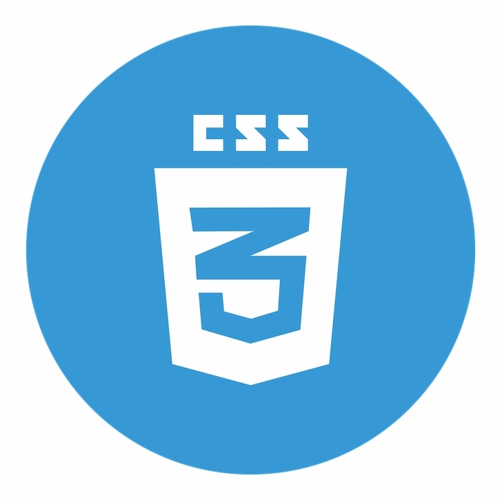 CSS Logo